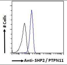 Goat anti-SHP2 / PTPN11 Antibody