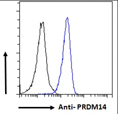 Goat anti-PRDM14 (aa414-427) Antibody