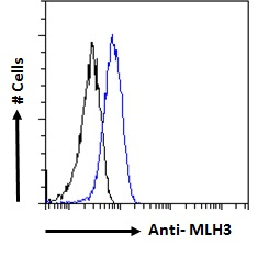 Goat anti-MLH3 Antibody