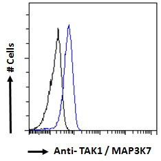 MAP3K7 antibody