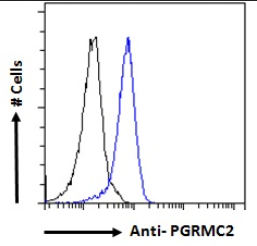 Goat anti-PGRMC2 Antibody