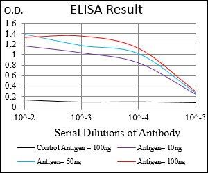 SDC1 Antibody