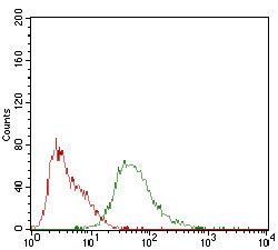 SDC1 Antibody