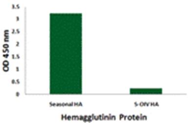 Seasonal H1N1 Hemagglutinin Monoclonal Antibody