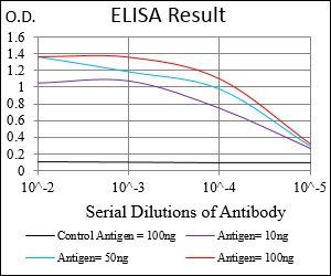 SERPINA3 Antibody