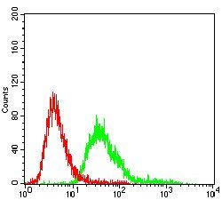 SERPINA3 Antibody