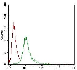 SERPINA7 Antibody