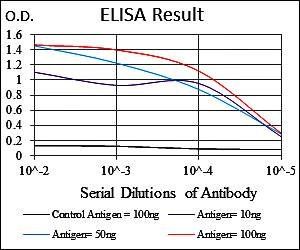 SERPINE1 Antibody