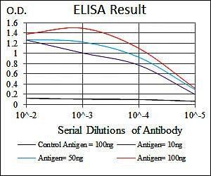 SHH Antibody