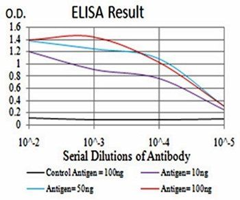 SIRT4 Antibody