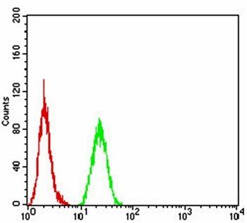 SIRT4 Antibody