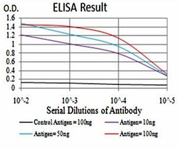 SK2 Antibody