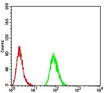 SK2 Antibody