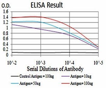 SK2 Antibody