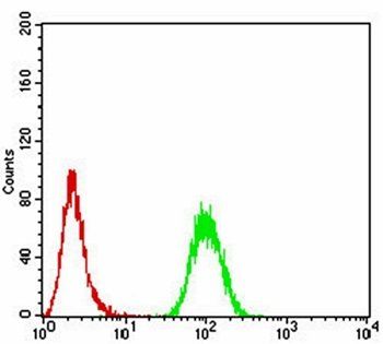 SK2 Antibody