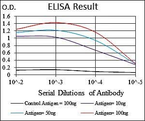 SKP1 Antibody