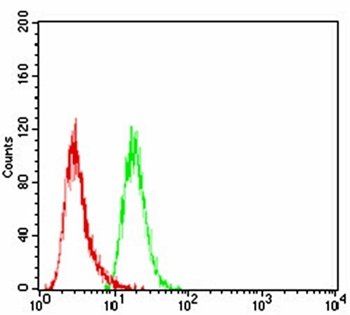 SLINGSHOT-1L Antibody