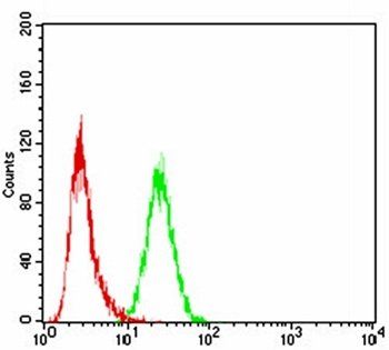 SLINGSHOT-1L Antibody