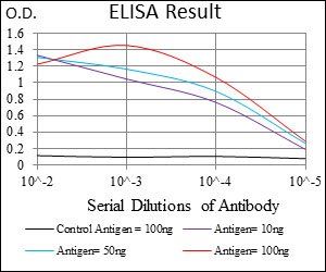 SNAI2 Antibody