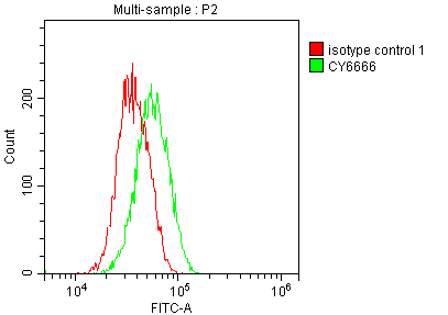 SOD1 Recombinant Monoclonal Antibody