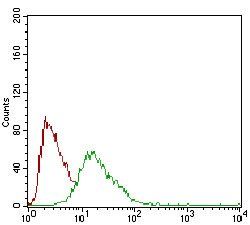 SOX10 Antibody