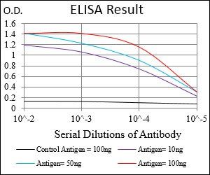 SOX10 Antibody