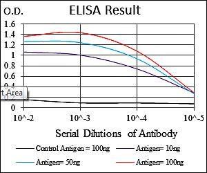 SOX9 Antibody