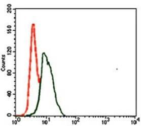 SPI1 Antibody