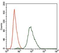 SPIB Antibody