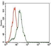 SST Antibody