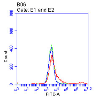 SDC1 Antibody