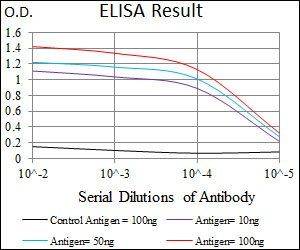 T Antibody