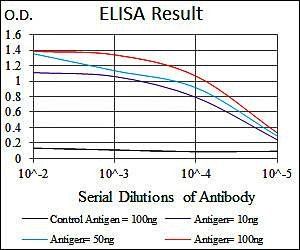 T Antibody