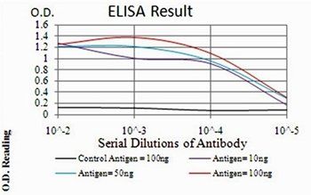 TFAP2A Antibody