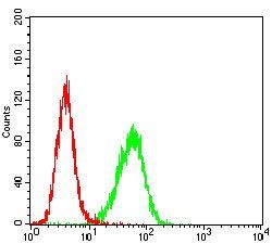 TFF2 Antibody