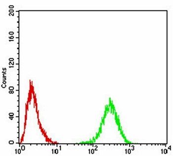 TH Antibody