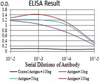 THAP1 Antibody