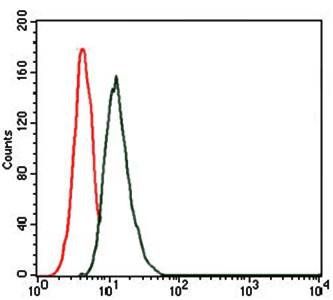 THPO Antibody