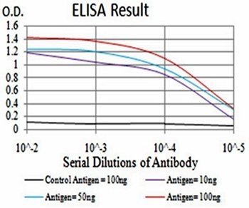 Tlr2 Antibody