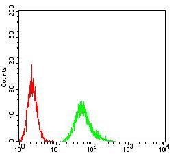 TLR9 Antibody