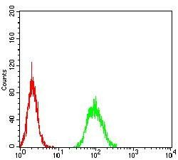 TLR9 Antibody