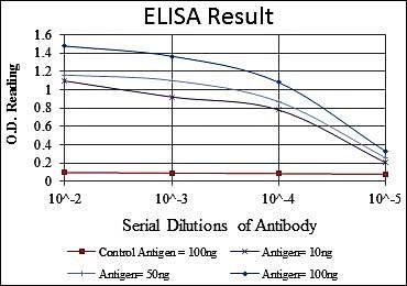 TNNI2 Antibody