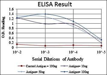 TNNI2 Antibody