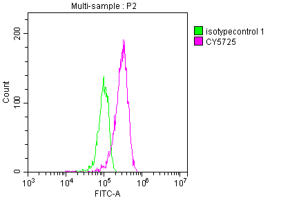 TOP1 Recombinant Monoclonal Antibody