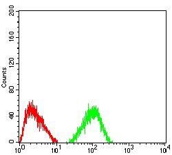 TRAF2 Antibody