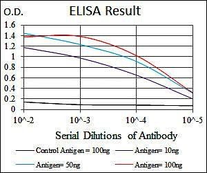 troponin T2 Antibody