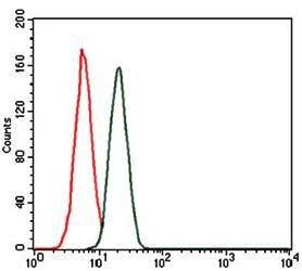 troponin T2 Antibody