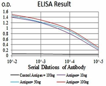 TUBB1 Antibody