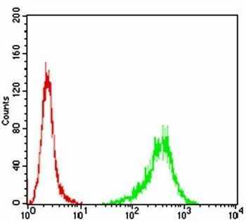 TUBB1 Antibody