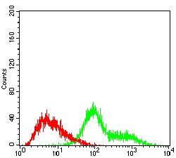 TUBE1 Antibody